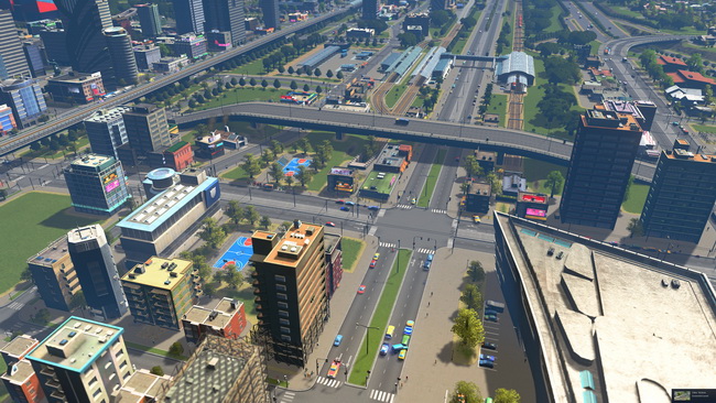 Cities-Skylines (6)